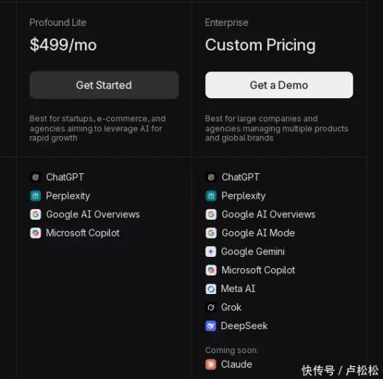 Profound公司发展前景_GEO数据合规定制_GEO平台投资分析